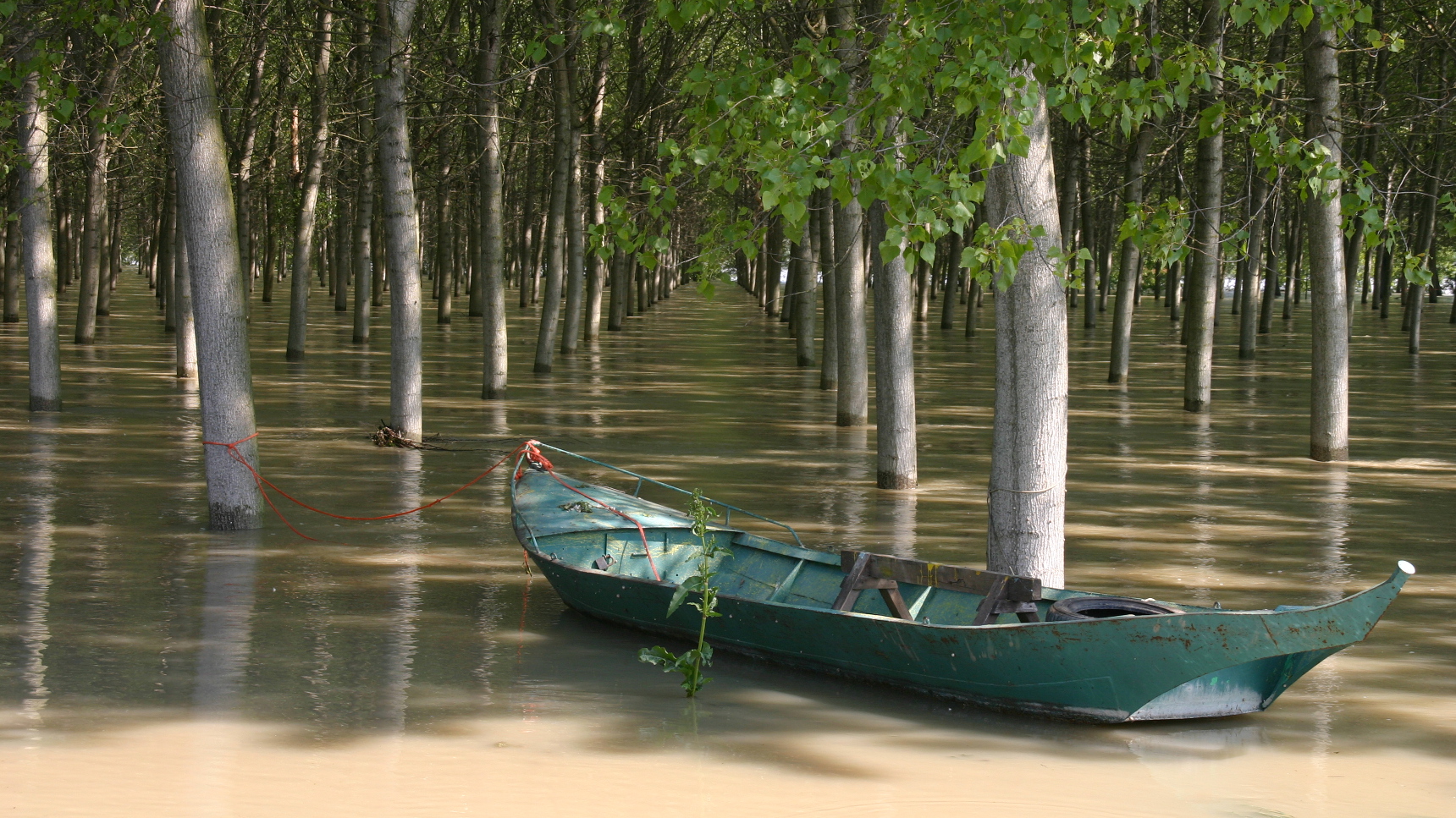 Golena Fiume Po